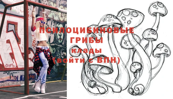 Альфа ПВП Балахна