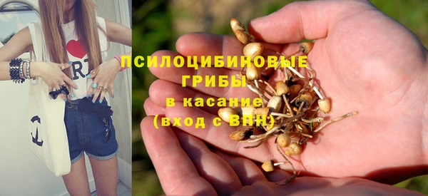 эйфоретик Баксан