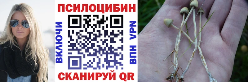Псилоцибиновые грибы Cubensis  где найти   Геленджик 